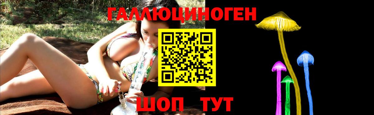Балашов  Псилоцибиновые грибы MAGIC MUSHROOMS  Вход с VPN 